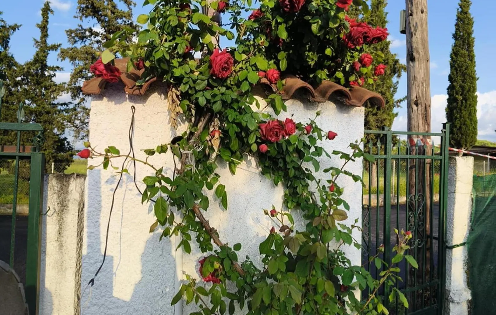 Cozy House Apartman Tagarádesz Görögország